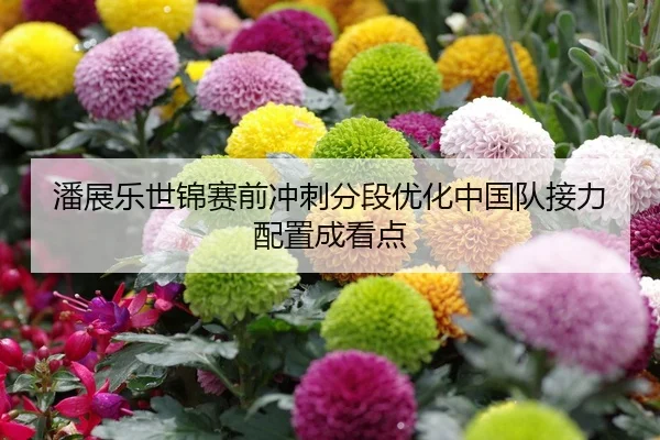 潘展乐世锦赛前冲刺分段优化中国队接力配置成看点